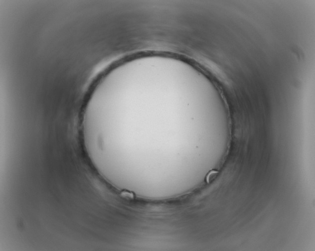 X0000113621264200910161944