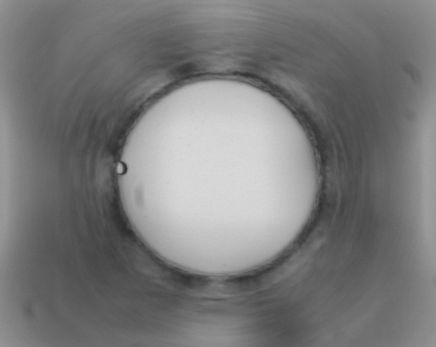 X0000113621265200910161944