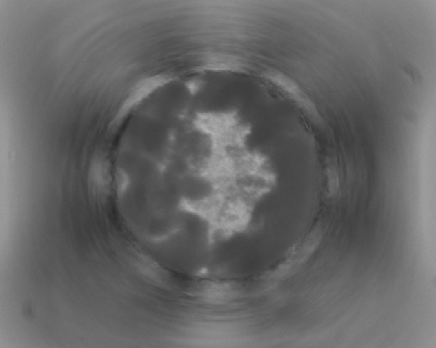 X0000113621266200910161944