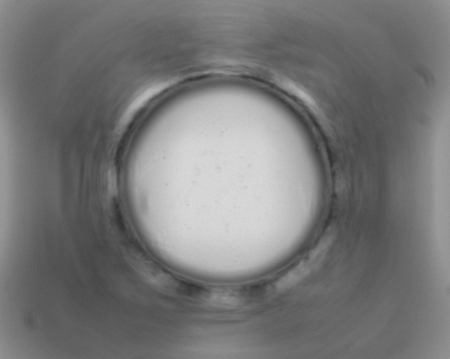 X0000113621267200910161944