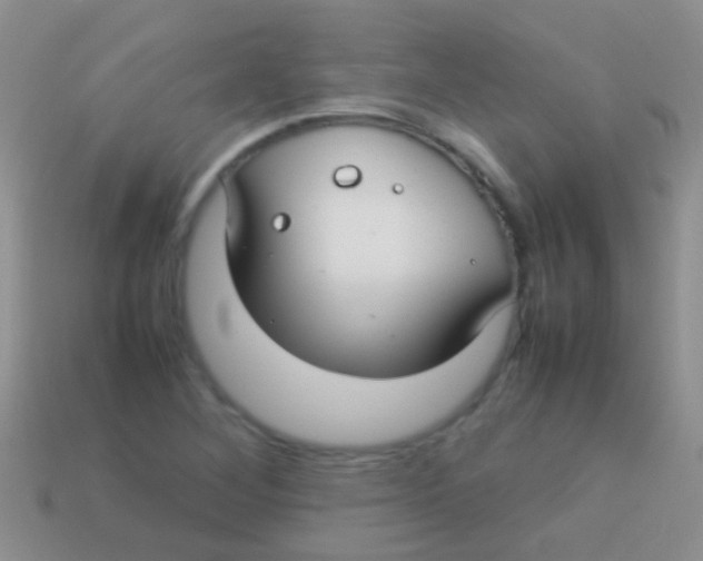 X0000113621268200910161944