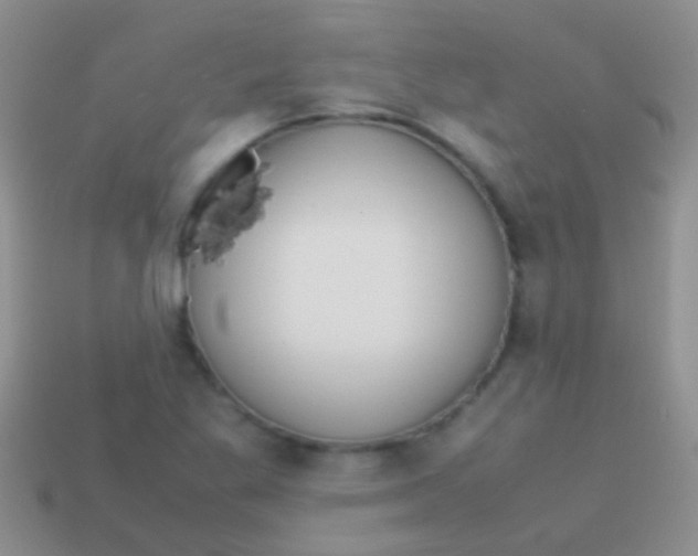 X0000113621269200910161944
