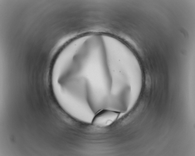 X0000113621270200910161944