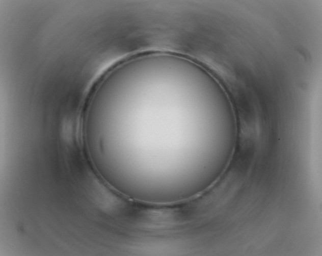 X0000113621272200910161944