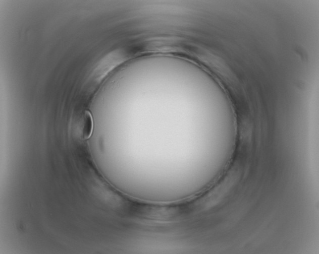 X0000113621273200910161944