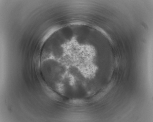 X0000113621274200910161944