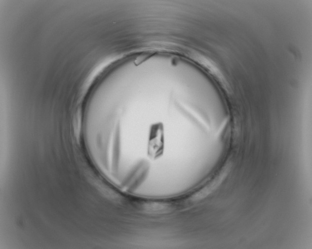 X0000113621275200910161944