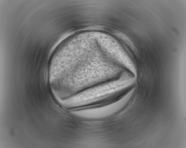 X0000113621276200910161944
