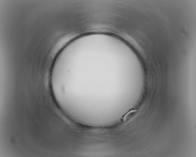 X0000113621277200910161944