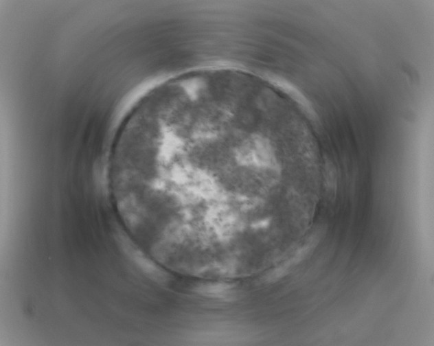 X0000113621278200910161944