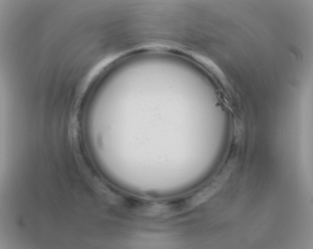 X0000113621279200910161944
