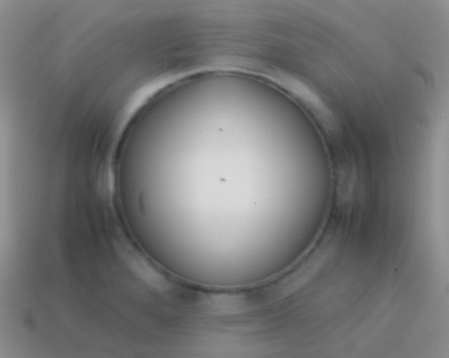 X0000113621280200910161944