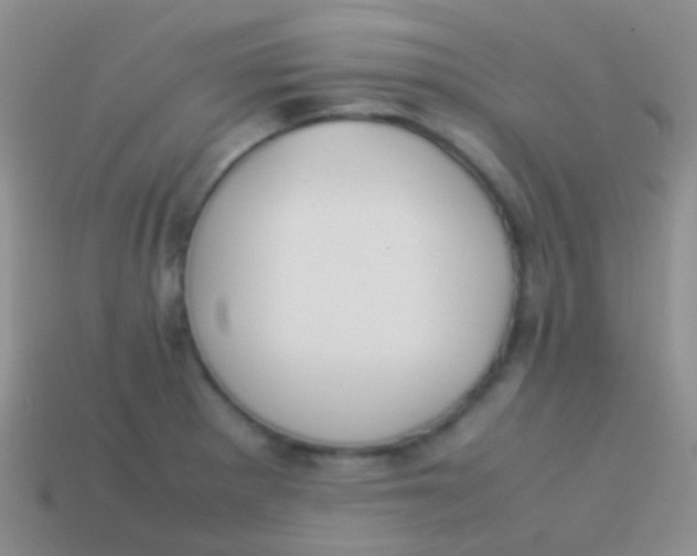 X0000113621281200910161944