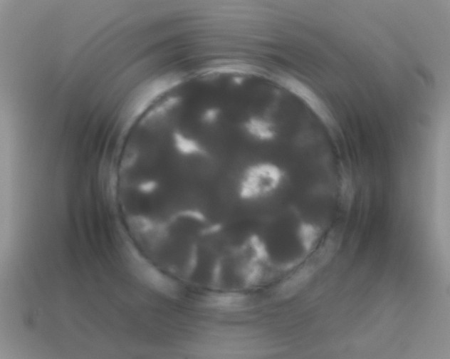 X0000113621282200910161944