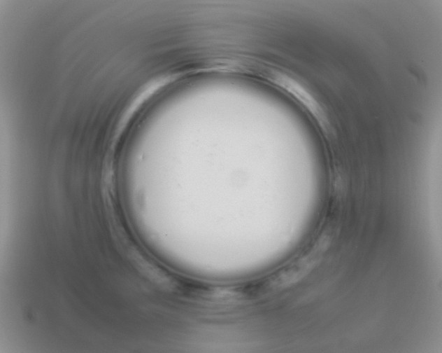 X0000113621283200910161944