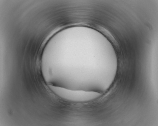 X0000113621284200910161944