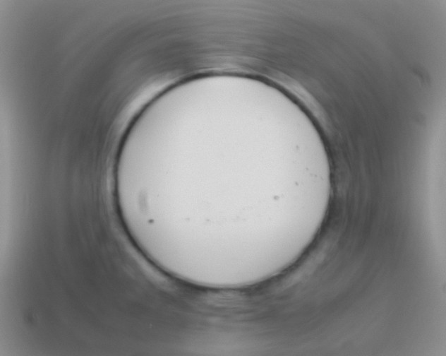 X0000113621285200910161944