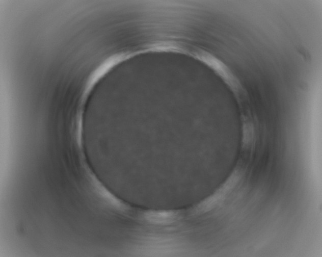 X0000113621286200910161944