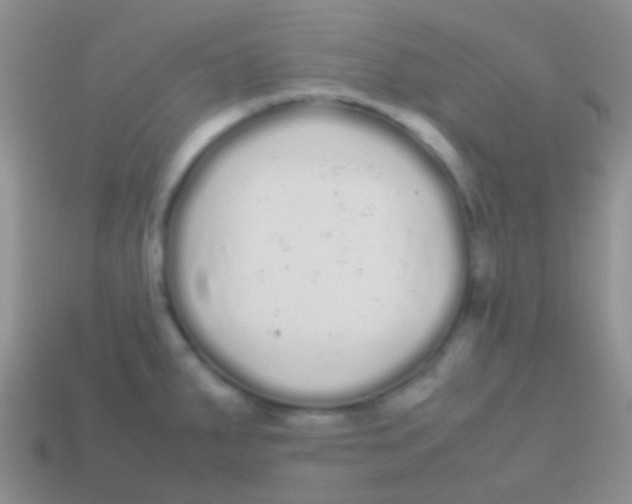 X0000113621287200910161944