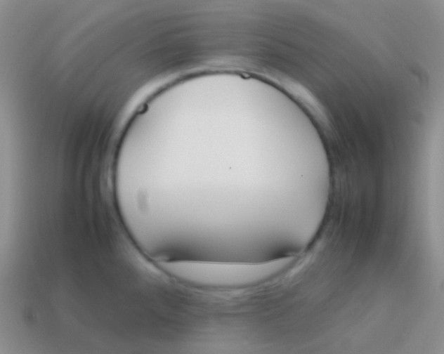 X0000113621288200910161944