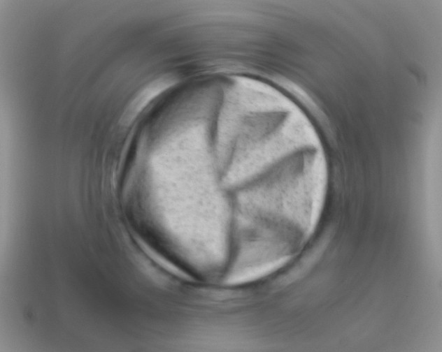 X0000113621289200910161944