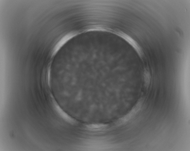 X0000113621290200910161944