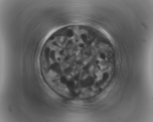 X0000113621291200910161944