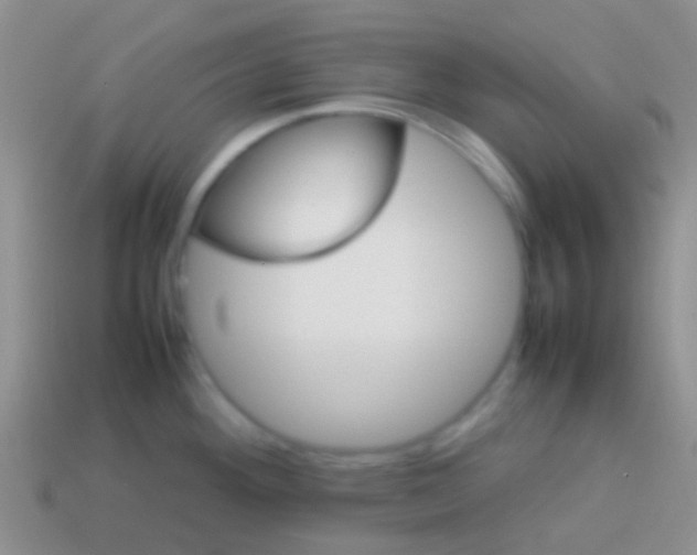 X0000113621292200910161944