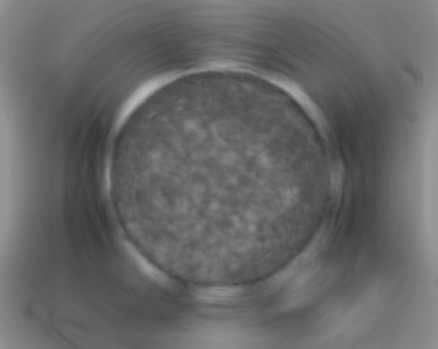 X0000113621294200910161944
