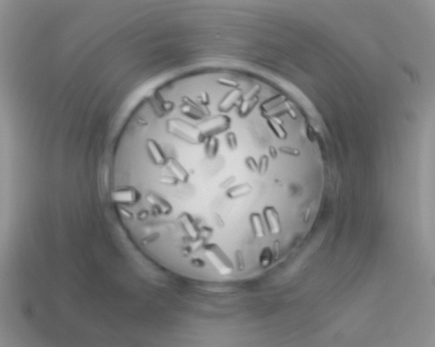 X0000113621295200910161944
