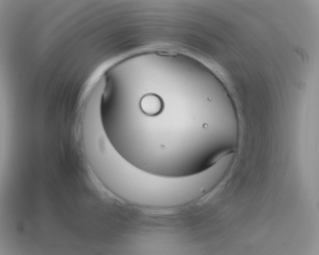 X0000113621296200910161944