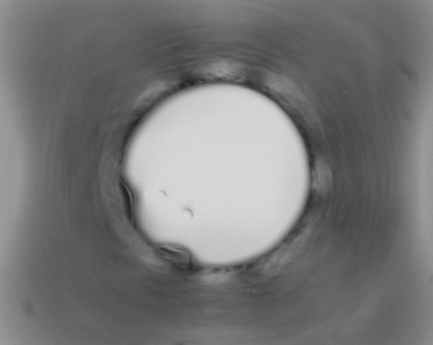 X0000113621297200910161943