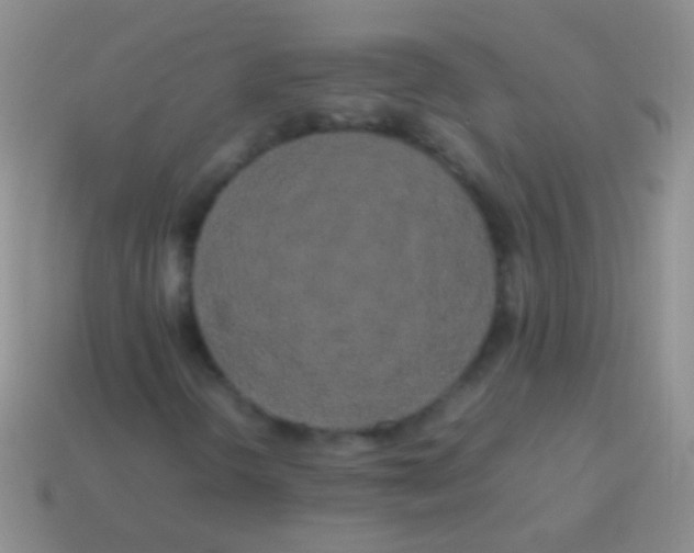 X0000113621298200910161943