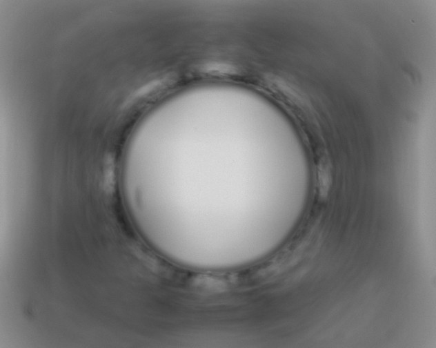 X0000113621301200910161943