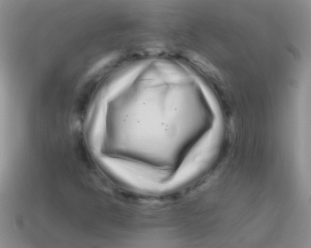 X0000113621302200910161943