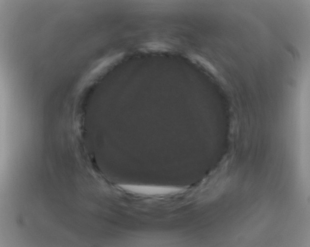 X0000113621303200910161943