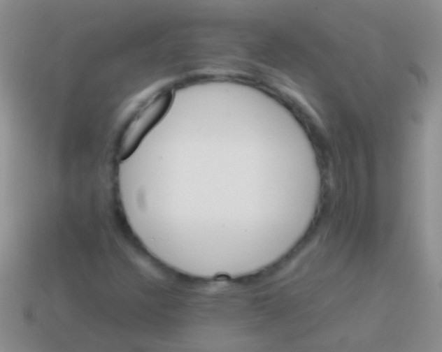 X0000113621304200910161943