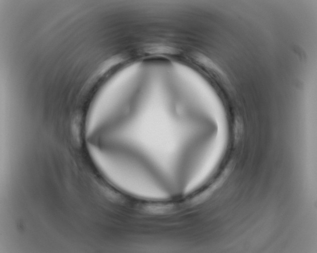 X0000113621305200910161943