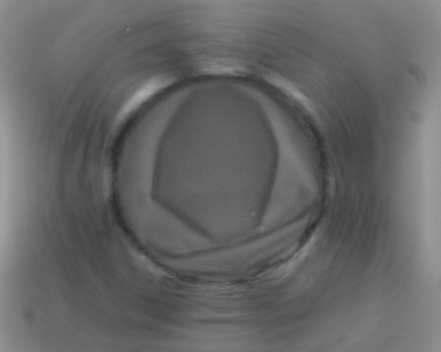 X0000113621306200910161943
