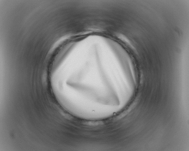 X0000113621307200910161943