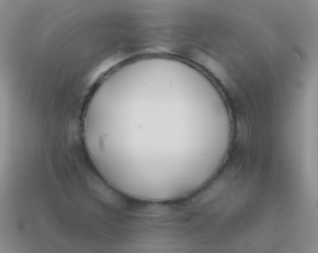 X0000113621308200910161943