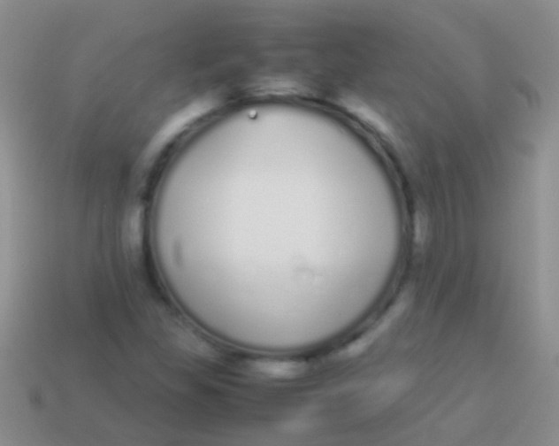 X0000113621309200910161943