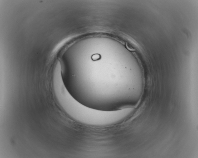 X0000113621310200910161943