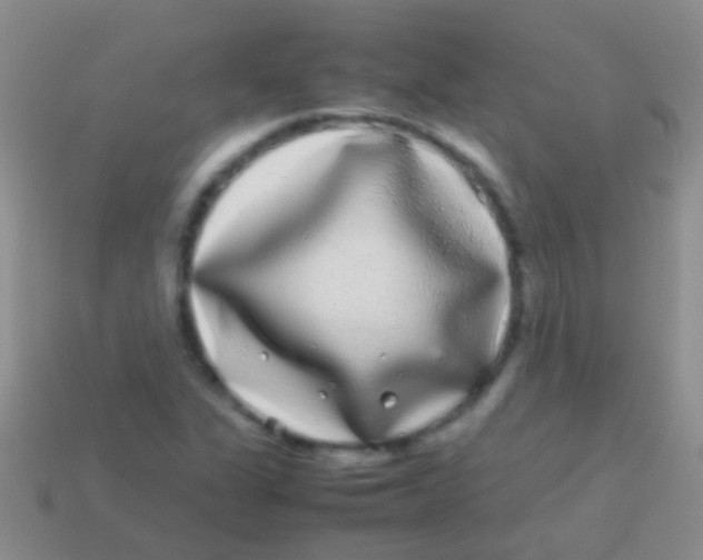 X0000113621311200910161943