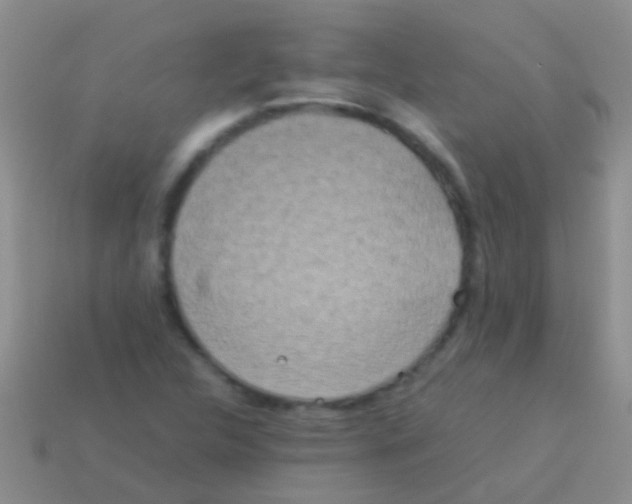 X0000113621312200910161943