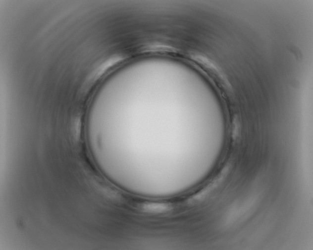 X0000113621313200910161943