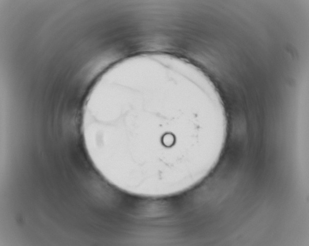 X0000113621314200910161943