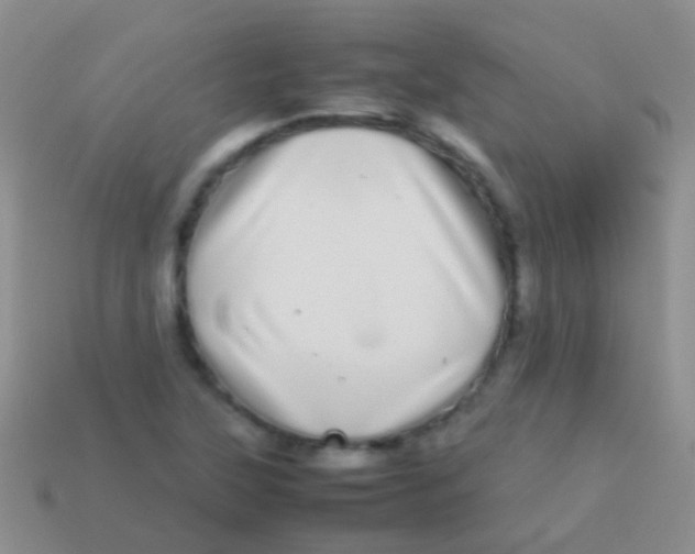 X0000113621315200910161943