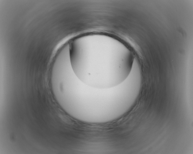 X0000113621316200910161943