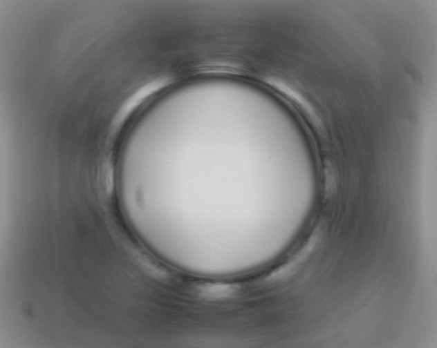 X0000113621317200910161943